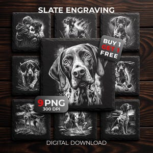May include: A collection of nine square slate engravings featuring black and white illustrations of German Shorthaired Pointer dogs in various poses. The images include text overlays stating SLATE ENGRAVING, BUY 1 GET 1 FREE, 9 PNG, 300 DPI, and DIGITAL DOWNLOAD.
