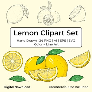 24 Hand‑Drawn Citrus Elements – Lemon Clipart Bundle + Compositions, Color & Line Art, PNG Svg Ai Eps, Commercial Use