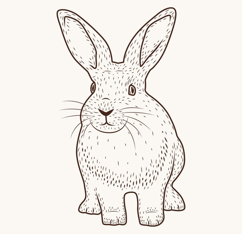 Vintage Bunny Rabbit Clipart Set | Hand Drawn Line Art (PNG SVG Ai EPS ...