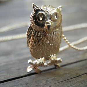 May include: A gold owl pendant necklace with a detailed design. The owl is perched on a branch and has large, round eyes.