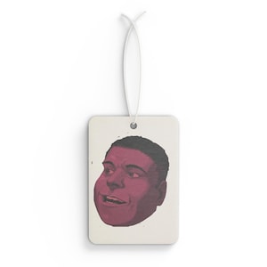 Funny Car Air Freshener, Unique Vehicle Decor, Gift for Car Lovers, Quirky Home Fragrance, Humor for Road Trips