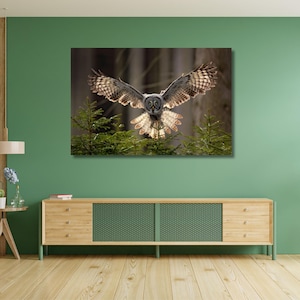Foresta con stampa su tela di gufo, stampa artistica di gufo grigio volante, splendido gufo grigio volante, design moderno, abete verde con gufo