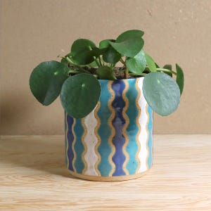 Op de afbeelding: Een keramische plantenpot met een golvend patroon in blauw, wit en geel, met een groene plant met ronde bladeren. De pot is cilindrisch en staat op een licht houten oppervlak.