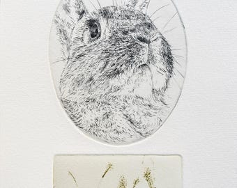 "Kaninchen Radierung ""Daphne's Reste"""