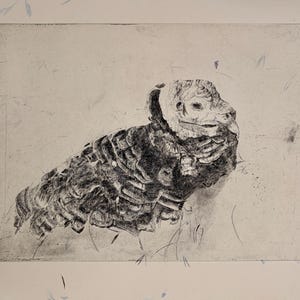 May include: A black and white etching on paper depicting a turkey in profile. The bird is rendered with detailed, dark cross-hatched lines to show the texture of its feathers and the distinct, wrinkled skin of its head and neck area.
