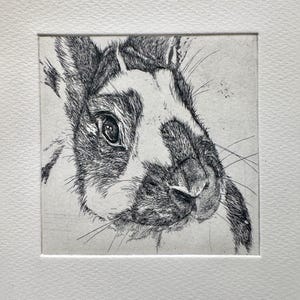 May include: A black and white line drawing of a rabbit's face. The rabbit has a white patch on its nose and a black patch around its eye.
