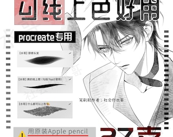Shui 27 Pennelli Procreate : PDF