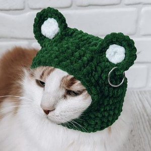 Könnte beinhalten: Eine Katze mit weiß-orangefarbenem Fell trägt einen handgefertigten grünen Froschhut aus Häkelarbeit mit weißen Akzenten und einem silbernen Ring. Der Hintergrund ist eine weiße Ziegelmauer und helles Holz.