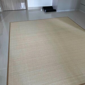 Pu&ograve; includere: Un tappeto rettangolare beige con un bordo marrone. Il tappeto ha una trama tessuta ed &egrave; posizionato su un pavimento piastrellato. Il tappeto &egrave; di colore neutro e potrebbe essere utilizzato in un soggiorno o in una camera da letto.