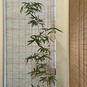 Puede incluir: Una planta de bamb&uacute; alta y esbelta con tallos finos de color marr&oacute;n claro y numerosas hojas puntiagudas de color verde oscuro. La planta est&aacute; en una maceta cil&iacute;ndrica de color gris oscuro, mostrando un crecimiento vertical natural.