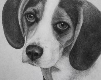 Custom Dog Portrait – Realistic Hand-Drawn Pencil Drawing From Photo | Pet Art