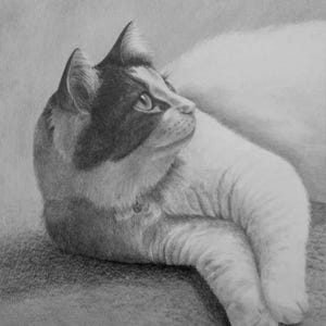 Custom Pencil Drawing – Realistic Hand-Drawn Graphite Art From Photo Bild 8