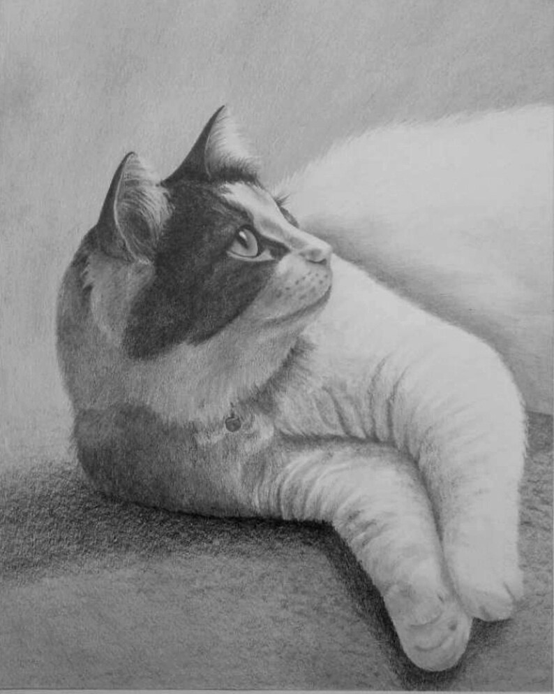 Custom Pencil Drawing – Realistic Hand-Drawn Graphite Art From Photo Bild 8