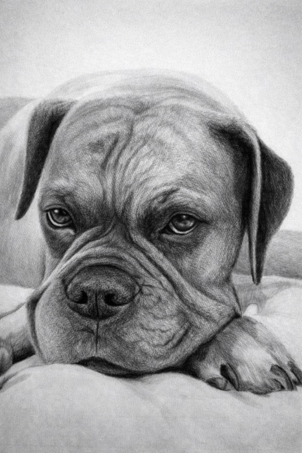 Custom Dog Memorial Portrait - Realistic Hand-Drawn Graphite Pencil Drawing From Photo