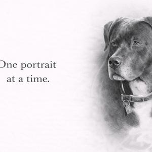 Custom Pencil Drawing – Realistic Hand-Drawn Graphite Art From Photo Bild 9