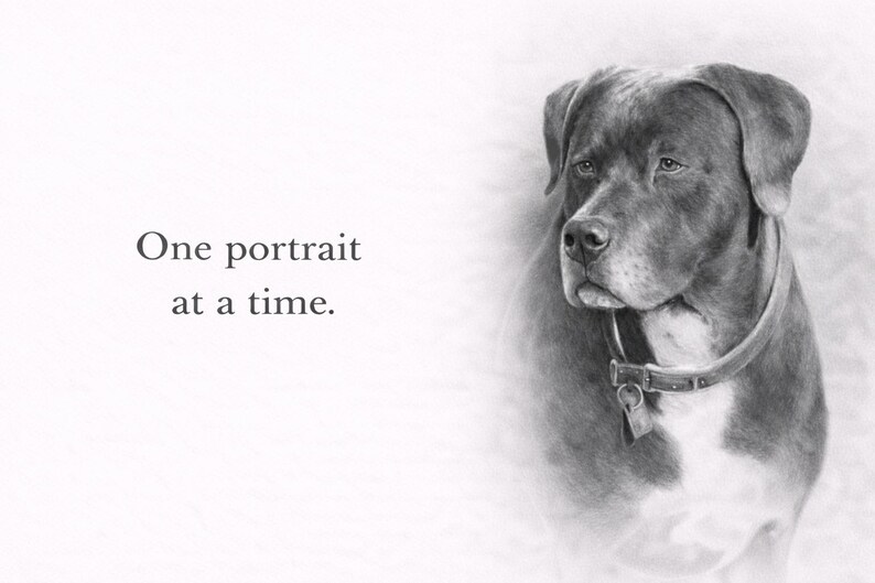 Custom Pencil Drawing – Realistic Hand-Drawn Graphite Art From Photo Bild 9