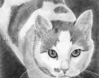 Custom Pet Portrait From Your Photo -  Original Cat Dog Horse Pencil Sketch Art Drawing From Photograph