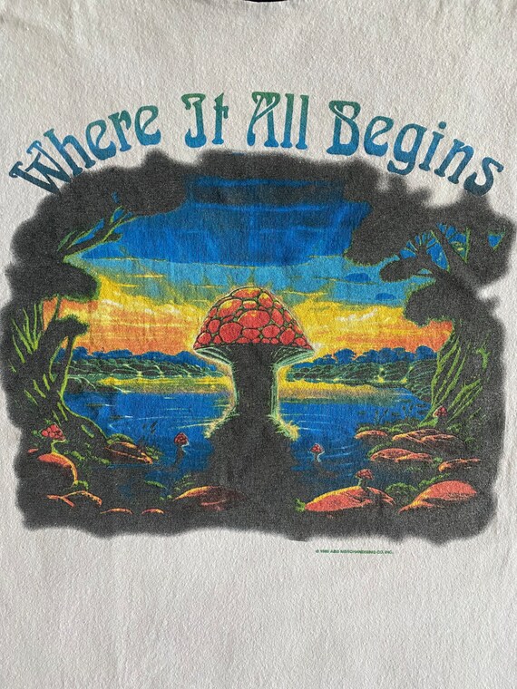 1995 The Allman Brothers Where It All Began Double Si Gem