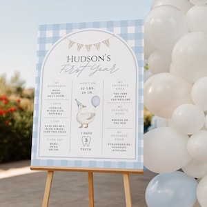 May include: A light blue and white gingham-patterned sign on a wooden easel. The sign reads "Hudson's First Year" and includes details about the child's nicknames, weight (22 lbs), height (29 in), favorite book, song, and food. A cartoon goose with a party hat and balloon is also featured.