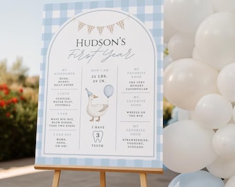 Silly Goose Birthday Milestone Board Template, Boy's First Birthday Milestone Sign, One Silly Goose Theme, Editable Poster, Blue Gingham