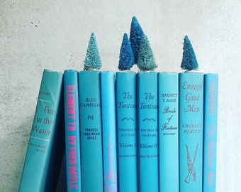Vintage boek (EEN) Blauwe titels hieronder vermeld - Prijs is per boek - Mooie handgeplukte vintage boeken om uw planken te vullen
