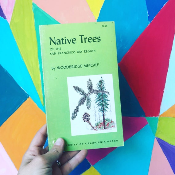 Native Trees Of The San Francisco Bay Region 1959 Vintage Paperback Book Nature - 