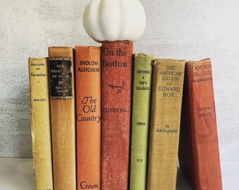 Vintage Shabby Autumn Fall Tones  Instant Library Collection Decorative Books Photography Props  - books by the foot