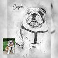 Pet Drawing, Personalized Dog Sketch, Custom Animal Drawing, Dog Portrait from Photo, Dog Lover Illustration, Pet Memorial Gift product logo