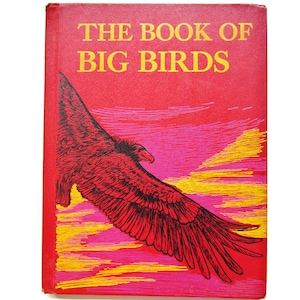 The Book of Big Birds, Vintage Children&#39;s Book