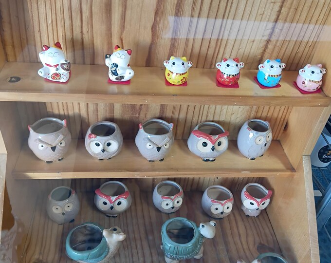 Owl Small Flower Pot – Cute Ceramic Planter for Succulents