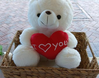 Plush White Teddy Bear with I  You Heart | Romantic Gift for Valentine's Day Anniversary