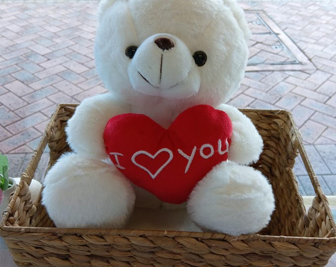 Plush White Teddy Bear with I  You Heart | Romantic Gift for Valentine's Day Anniversary