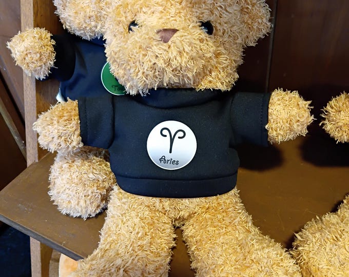 Large Small Teddy Bear