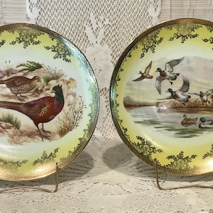 Vintage STW Bavaria  charger plates.