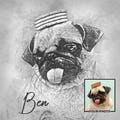 Dog drawing, Custom Drawing Pet Portrait, Dog Portraits from Photos ,Dog Portraits From Photos, Pet Sketch Custom, Cat portrait personalized