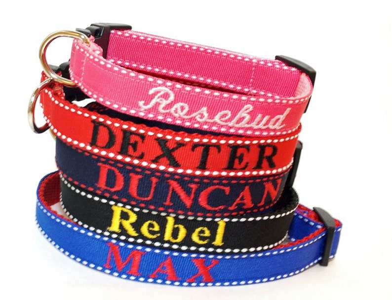 Orange Dog Collar Personalized Dog Collar Embroidered Dog Etsy