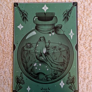 Animal & Magic Illustration - Frog in Potion