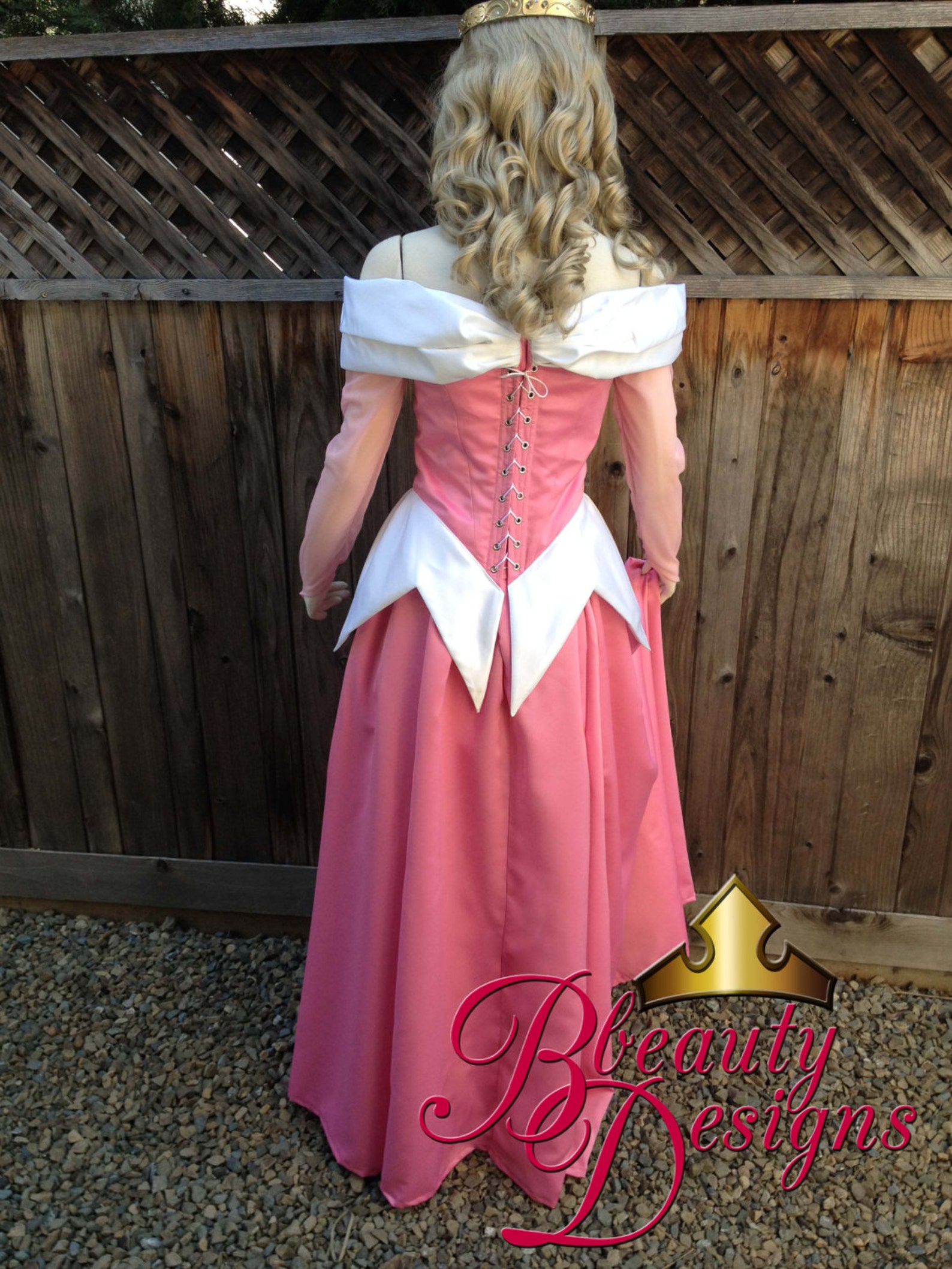 Sleeping Beauty 2013 Budget Version Adult Costume in Classic | Etsy