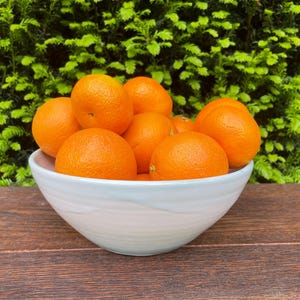 Könnte beinhalten: Eine weiße Keramikschale gefüllt mit leuchtend orangen Mandarinen. Die Schale steht auf einer dunklen Holzoberfläche, mit einem Hintergrund aus grünem Laub. Die Mandarinen sind reif und verzehrfertig.