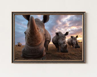 Rhino Photography Print – African Sunset Wildlife Wall Art