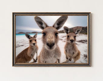 Kangaroo Beach Print – Lucky Bay Australia Wildlife Photography
