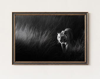 May include: Black and white framed print of a tiger walking through tall grass. The tiger is the focal point, with its stripes and facial features clearly visible. The artwork is framed in a dark, ornate frame.