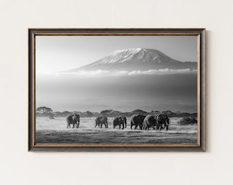 Kilimanjaro Elefanten schwarz weiß Fotografie Druck | Afrikanische Landschaft Wandkunst