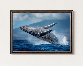 Humpback Whale Photography Print – Breaching Ocean Wildlife Art