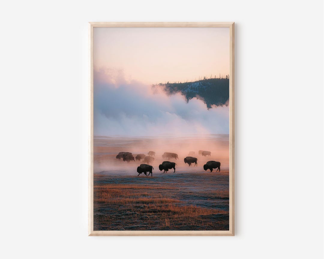 Yellowstone Bison Print, Misty Landscape Photography, Rustic Wall Art ...