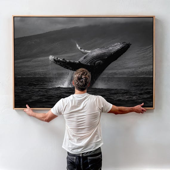 Humpback Whale Breach Black and White Wall Art - Etsy