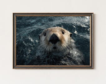 Sea Otter Photography Print – Ocean Wildlife Wall Art