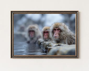 Snow Monkey Photography Print – Japanese Macaque Wall Art