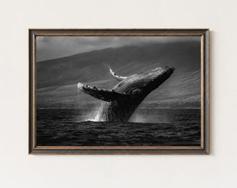 Humpback Whale Breach Black and White Wall Art