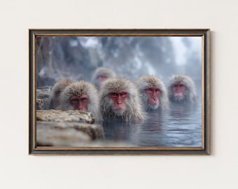 Snow Monkey Photography Print – Japanese Macaque Wall Art